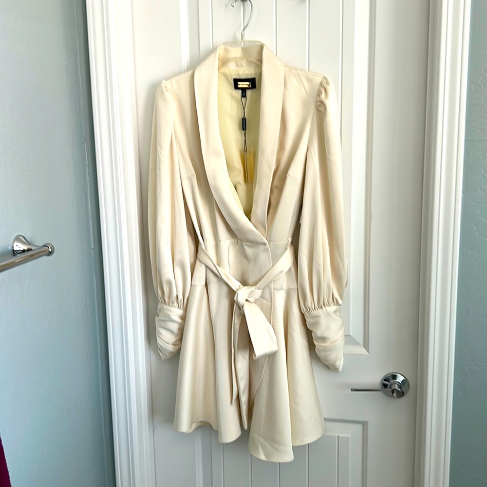 NWT Alexia Admor dress, size 8
